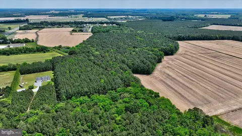 0 Rising Eagle, Mardela Springs, MD 21837