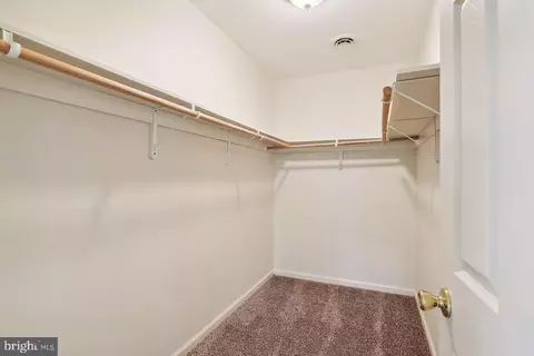 26262 Evesboro Ln, Eden, MD 21822 photo 17