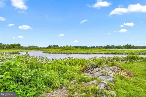 View/Area - 5207 Duck Crossing Ln, Salisbury, MD 21801 photo 7 of 9