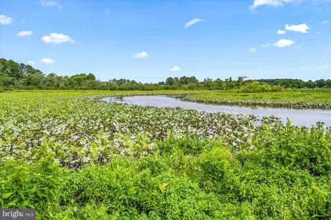 View/Area - 5207 Duck Crossing Ln, Salisbury, MD 21801 photo 5 of 9