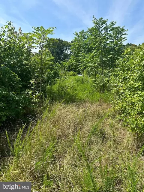 0 Post Office Rd, Eden, MD 21822 photo 13