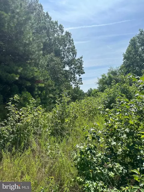 0 Post Office Rd, Eden, MD 21822 photo 17