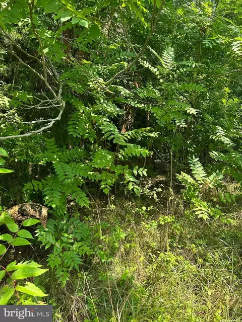 0 Post Office Rd, Eden, MD 21822 photo 15