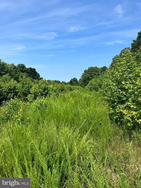 0 Post Office Rd, Eden, MD 21822 photo 16