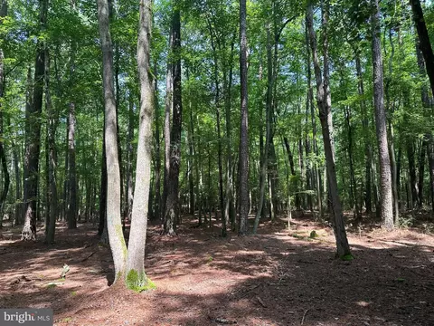 0 Post Office Rd, Eden, MD 21822 photo 19