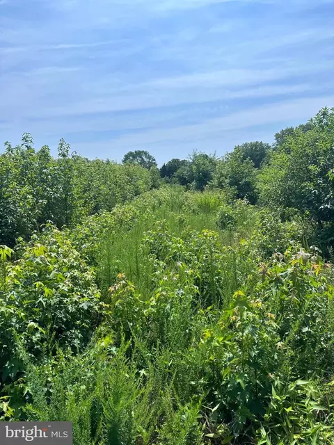 0 Post Office Rd, Eden, MD 21822 photo 12