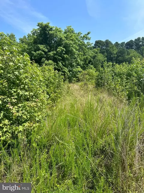 0 Post Office Rd, Eden, MD 21822 photo 14