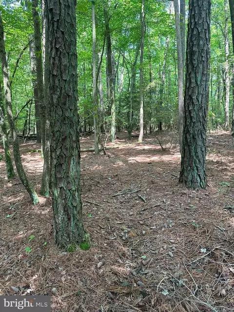 0 Post Office Rd, Eden, MD 21822 photo 9