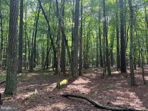 0 Post Office Rd, Eden, MD 21822 photo 20