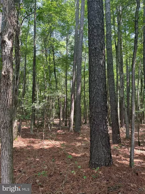 0 Post Office Rd, Eden, MD 21822 photo 18