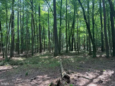 0 Post Office Rd, Eden, MD 21822 photo 10