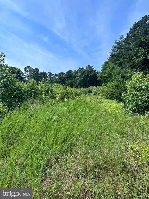 0 Post Office Rd, Eden, MD 21822 photo 11