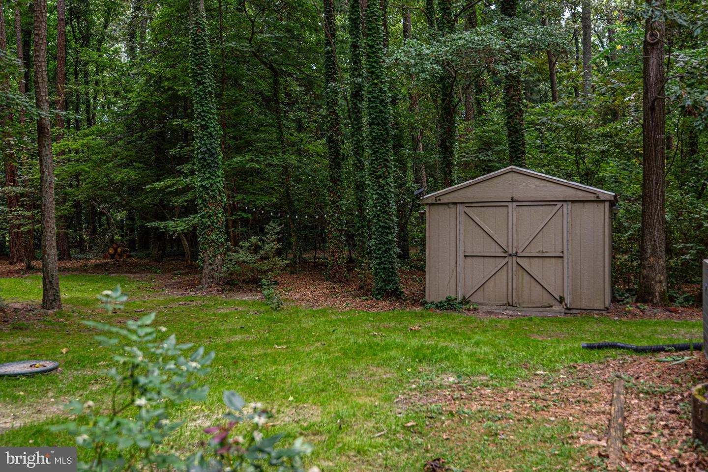 Exterior - 30521 E Rustic Dr, Salisbury, MD 21804 photo 11 of 18