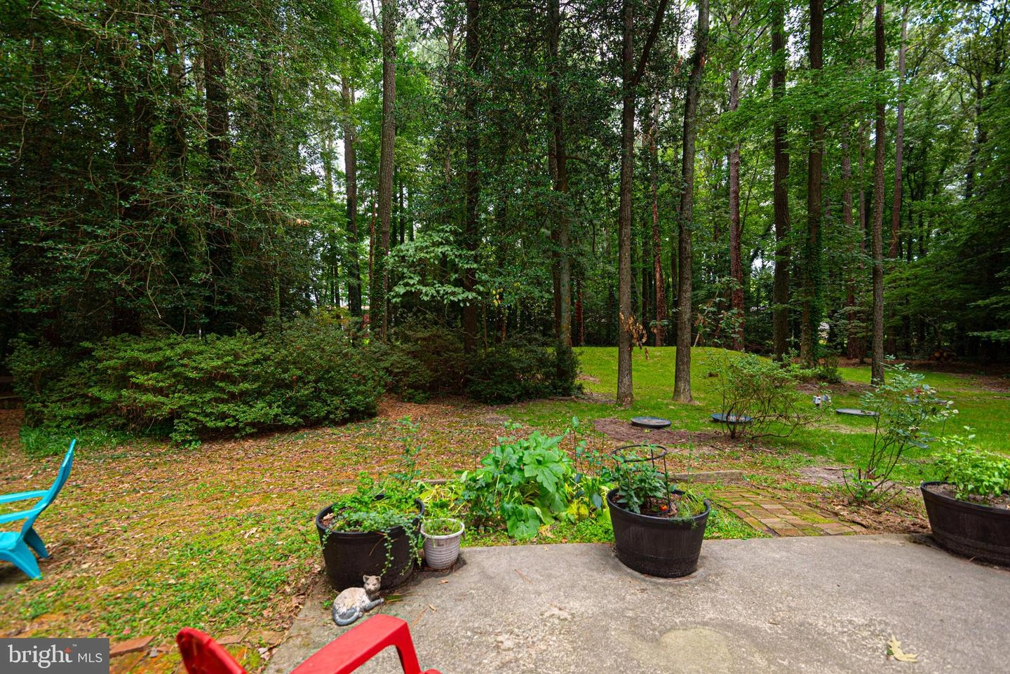 Exterior - 30521 E Rustic Dr, Salisbury, MD 21804 photo 7 of 18