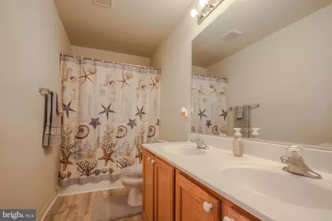 8595 Shadow Ln, Delmar, MD 21875 photo 26