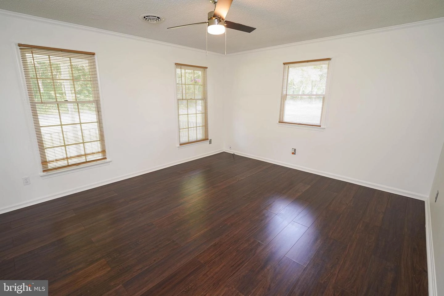 35305 Poplar Neck Rd, Willards, MD 21874 photo 14