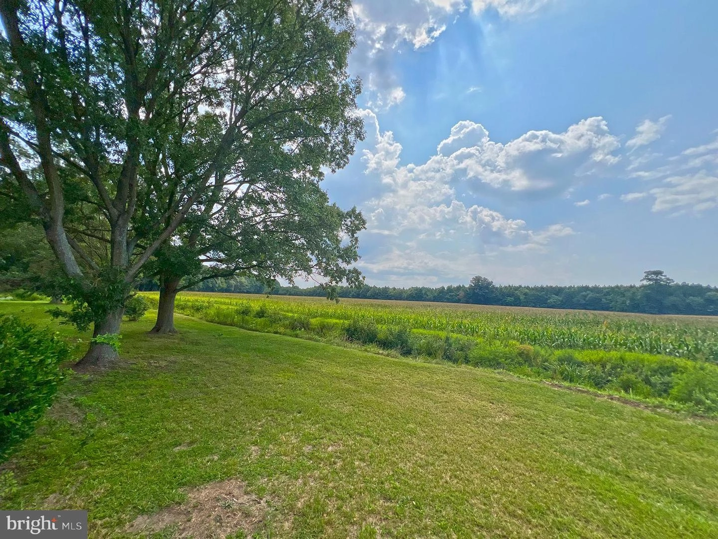 35305 Poplar Neck Rd, Willards, MD 21874 photo 5