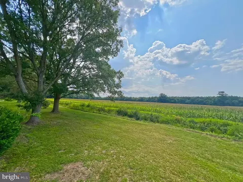 35305 Poplar Neck Rd, Willards, MD 21874 photo 5