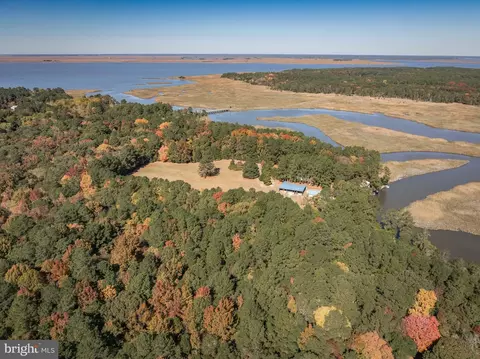 View/Area - 21633 Wetipquin Rd, Quantico, MD 21856 photo 20 of 20