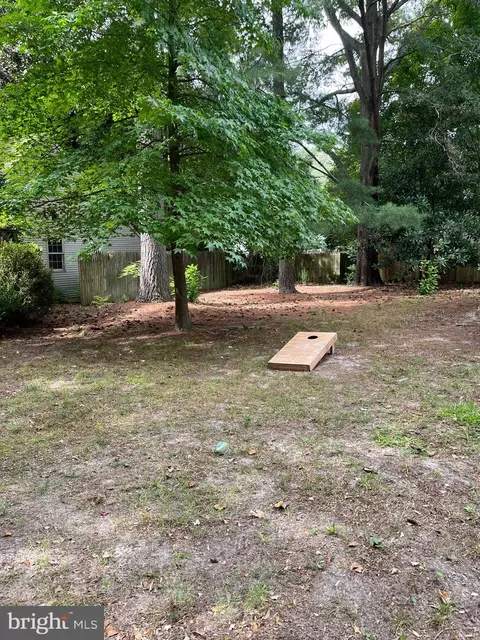 420 Elberta Ave, Salisbury, MD 21801 photo 5