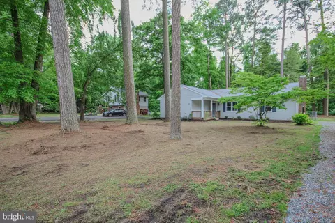 502 Forest Dr, Fruitland, MD 21826 photo 3