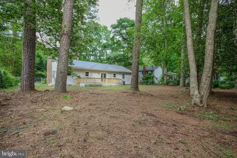 502 Forest Dr, Fruitland, MD 21826 photo 34