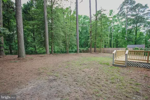 502 Forest Dr, Fruitland, MD 21826 photo 36