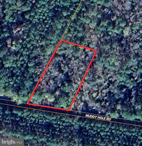 0 Muddy Hole Rd, Tyaskin, MD 21865