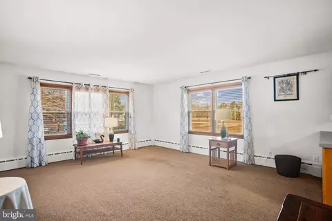 Living - 4541 Tyaskin Rd, Tyaskin, MD 21865 photo 1 of 3