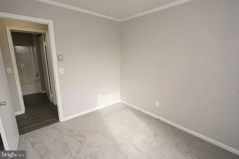 36116 Lumberyard Ln, Willards, MD 21874 photo 15