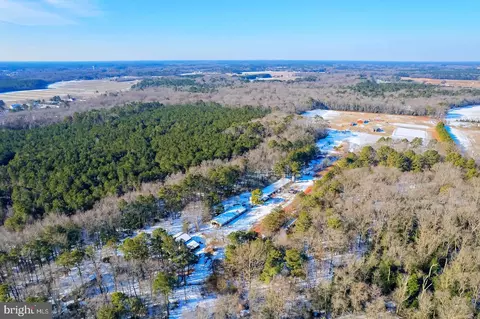 8138 8140 Burnt Mill Rd, Willards, MD 21874 photo 7
