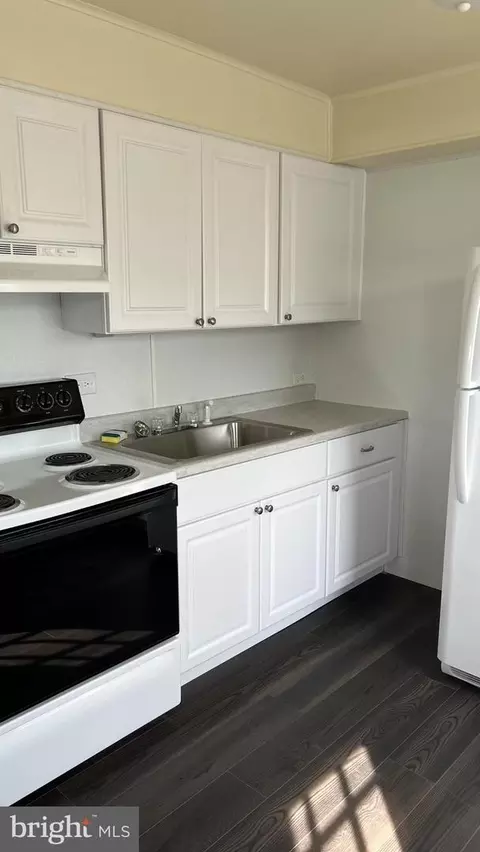 313 E College Ave, Salisbury, MD 21801 photo 3