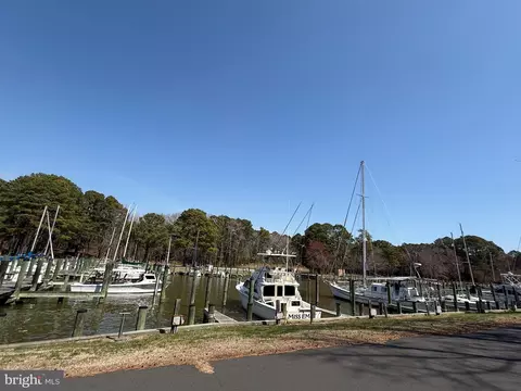 Other - 20121 Nanticoke Rd, Nanticoke, MD 21840 photo 19 of 20