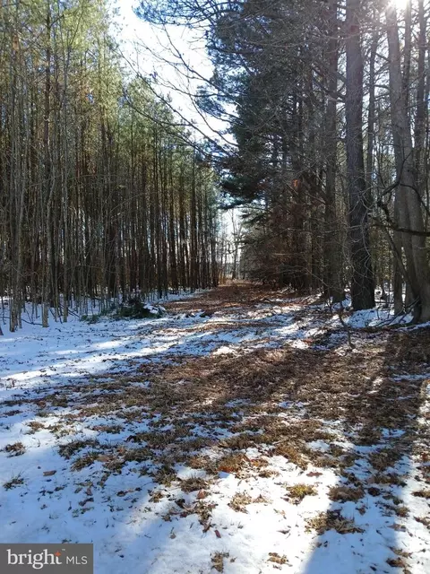 0 Upper Ferry Rd, Eden, MD 21822 photo 4