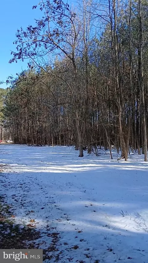 0 Upper Ferry Rd, Eden, MD 21822 photo 2