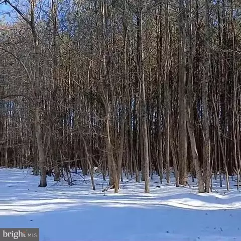 0 Upper Ferry Rd, Eden, MD 21822 photo 3