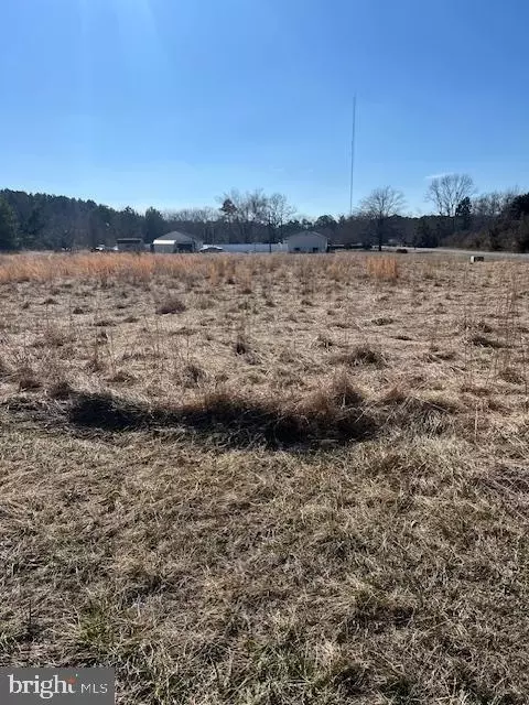 San Domingo, Mardela Springs, MD 21837