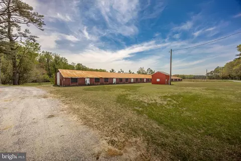 36479 Purnell Crossing Rd, Willards, MD 21874 photo 64
