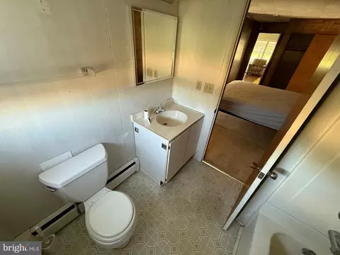 Bath - 4747 Tyaskin Rd, Tyaskin, MD 21865 photo 3 of 3