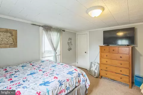 113 E Lillian St, Hebron, MD 21830 photo 20