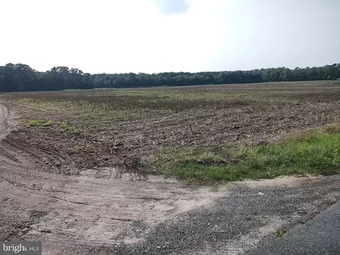 0 Rounds Rd, Pittsville, MD 21850