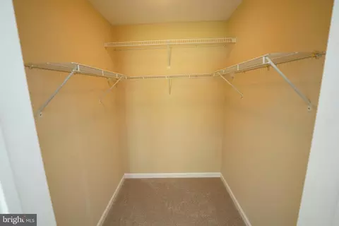 Other - 7351 Main St, Willards, MD 21874 photo 15 of 33