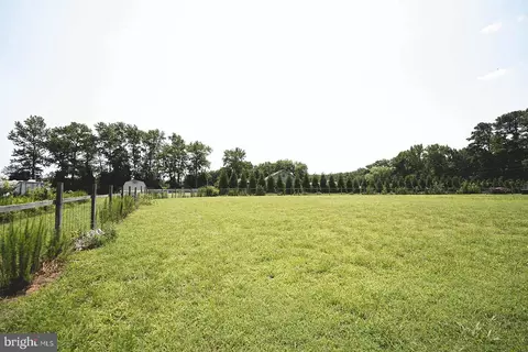 9293 Green Branch Rd, Willards, MD 21874 photo 49
