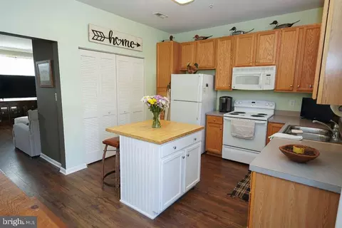 537 White Pine Dr, Fruitland, MD 21826 photo 13