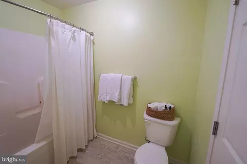 537 White Pine Dr, Fruitland, MD 21826 photo 31