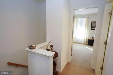537 White Pine Dr, Fruitland, MD 21826 photo 21