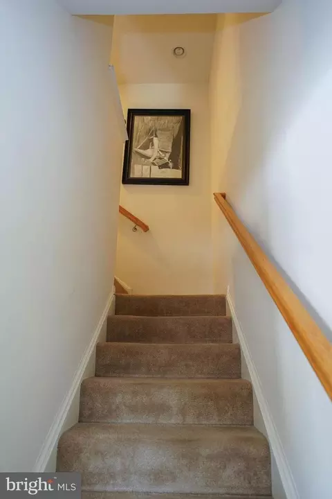 537 White Pine Dr, Fruitland, MD 21826 photo 20
