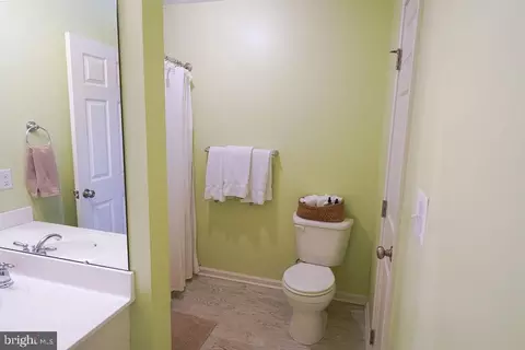 537 White Pine Dr, Fruitland, MD 21826 photo 30