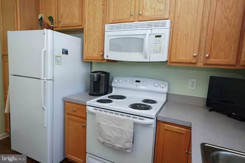 537 White Pine Dr, Fruitland, MD 21826 photo 18