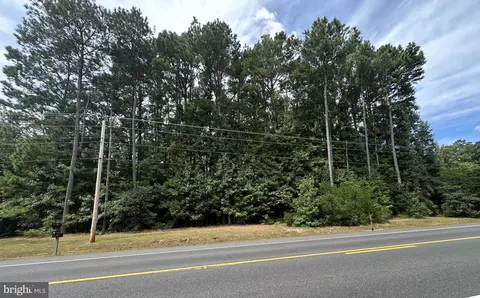 0 Md Rt 313 Rd, Mardela Springs, MD 21837